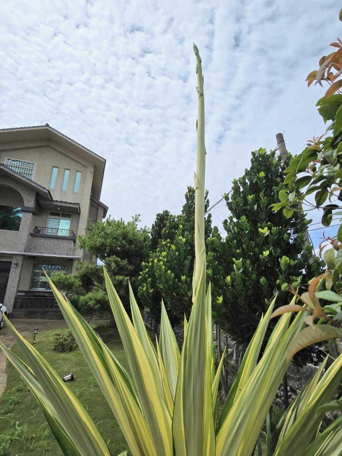 Mandy'S House B&B Shangwu Exterior foto